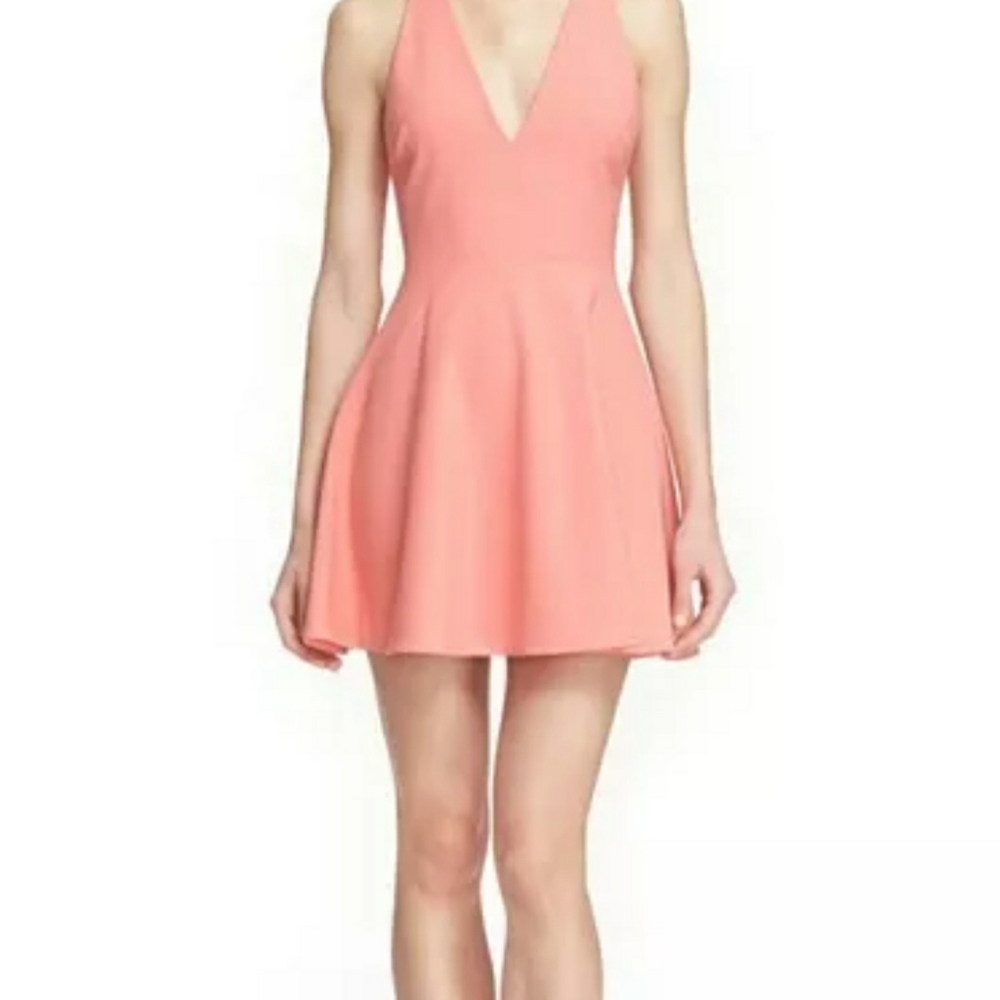 Elizabeth and James Size 8 Lalita Flare Dress